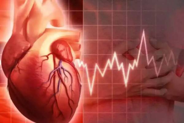 பெண்களைவிடவும் ஆண்களுக்கு இதய நோய் வர இதுவே காரணம் - ஆய்வு தகவல் | Men Get Heart Disease More Than Women Research