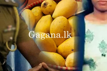 පොලිස් ලොක්කෙකුගෙන් 21 හැවිරිදි තරුණියකට එල්ල වූ අඹ ප්‍රහාරය.