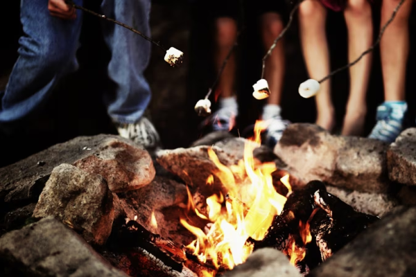 கனடாவின் இந்தப் பகுதியில் விதிக்கப்பட்டுள்ள தடை | No Campfires Fire Allowed In These Gta Cities