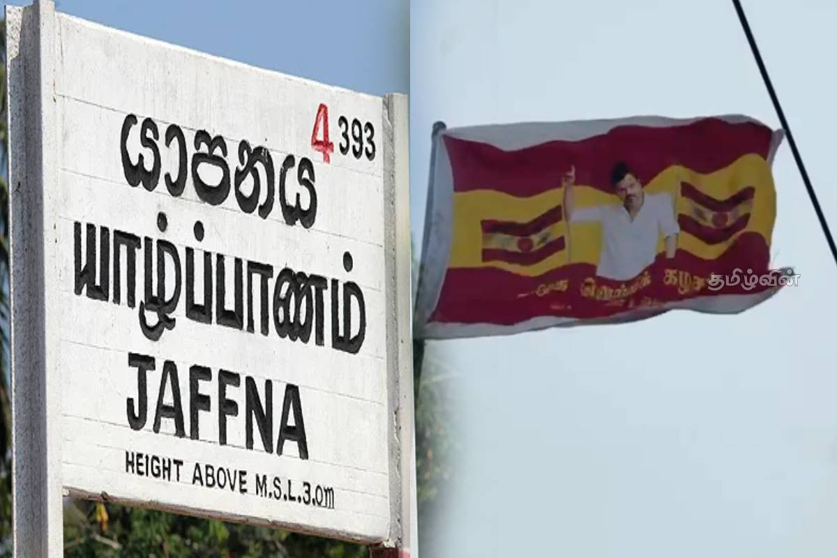 யாழில் தவெகவுக்கு ஆதரவாக பறக்கவிடப்பட்ட கொடி..! வெற்றியை கொண்டாடும் இலங்கை மக்கள் | Flag Flown In Support Of Thaweka In Jaffna