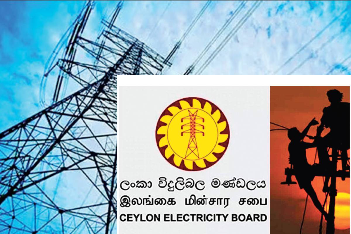 மின் உற்பத்தி 50 சதவீதத்தால் வீழ்ச்சியடையும் அபாயம்! வெளியாகியுள்ள எச்சரிக்கை | Crisis In Electricity And Economic