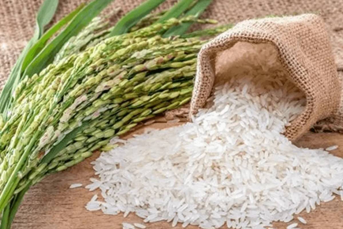 அரிசி இறக்குமதி! ஜனாதிபதியால் வெளியிடப்பட்ட அதிவிசேட வர்த்தமானி | Gazette Notification For Rice Import