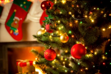 கிறிஸ்மஸ் கொண்டாட்டங்களை தவிர்க்குமாறு கோரிக்கை