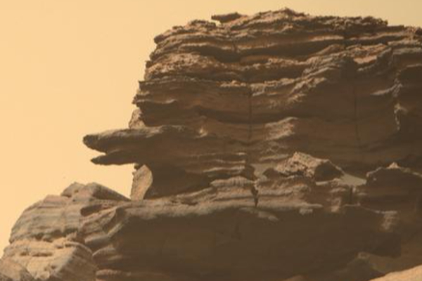 செவ்வாய் கிரகத்தில் தென்பட்ட ராட்சத பாம்பு தலை.... அதிர்ந்து போன விஞ்ஞானிகள் | Perseverance Mars Rover Photographs Snake