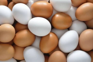 முட்டையை அடிக்கடி உணவில் சேர்த்து வந்தால் என்ன நடக்கும் தெரியுமா?