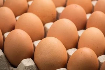 ගණන් ඉස්සූ බිත්තර..