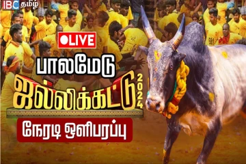 1,000 காளைகளுடன் உலக புகழ்பெற்ற பாலமேடு ஜல்லிக்கட்டு ஆரம்பம் (நேரலை)