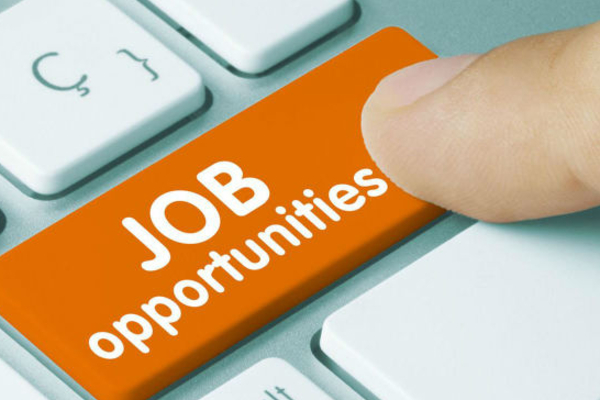 வடக்கு மாகாண சபையில் பல்வேறு விதமான வேலைவாய்ப்பு! | Job Opportunities In Northern Provincial Council வடக்கு மாகாண சபையில் பல்வேறு விதமான வேலைவாய்ப்பு! | Job Opportunities In Northern Provincial Council