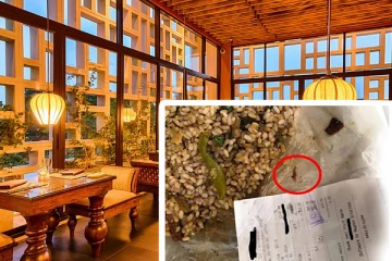 யாழில் மீண்டும் பரபரப்பை ஏற்படுத்திய சம்பவம் ; மதிய உணவில் புழு