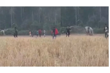 துரத்த சென்ற கும்பலை ஓட, ஓட விரட்டிய ஒற்றை காட்டு யானை... வைரலாகும் வீடியோ...!