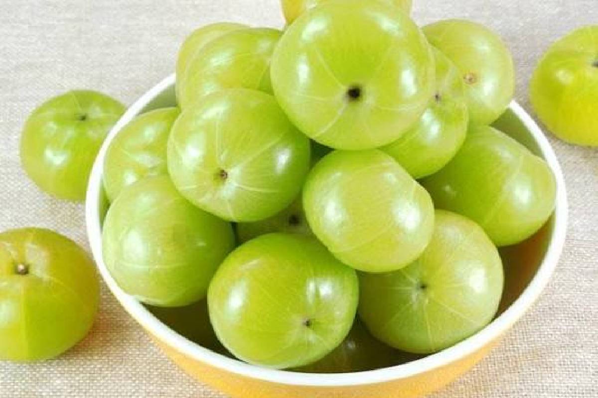 உள்ளிருந்து கூந்தலைப் பராமரிக்க உதவும் 6 ஊட்டச்சத்து நிறைந்த உணவுகள்! இனியும் தவிர்க்காதீங்க | Top 6 Foods For Healthy Hair And Growth உள்ளிருந்து கூந்தலைப் பராமரிக்க உதவும் 6 ஊட்டச்சத்து நிறைந்த உணவுகள்! இனியும் தவிர்க்காதீங்க | Top 6 Foods For Healthy Hair And Growth