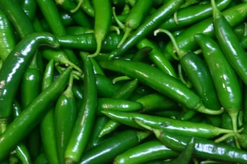 இலங்கையில் தலைசுற்ற வைக்கும் பச்சைமிளகாய் விலை; 1 கிலோ இவ்வளவா!