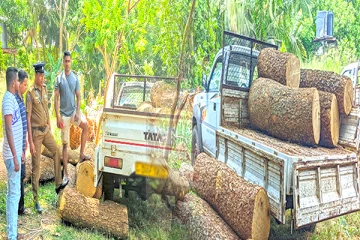வவுனியாவில் மரக்கடத்தல் வாகனம் மீது பொலிஸார் துப்பாக்கிச் சூடு: பல இலட்சம் பெறுமதியான மரங்கள் மீட்பு