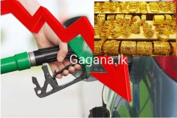 රන් මිල සහ තෙල් මිල එකවරම පහළ යයි..ඉන්ධන සම්බන්ධයෙන් ලංකාවට සුභ ආරංචියක්..