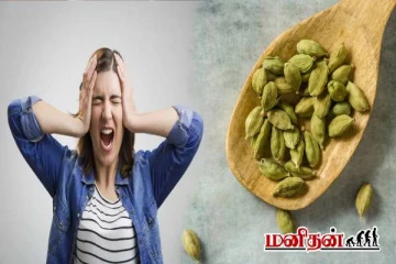 தினமும் 2 பச்சை ஏலக்காயை மென்று சாப்பிடுங்க - இந்த பிரச்சனை வராது