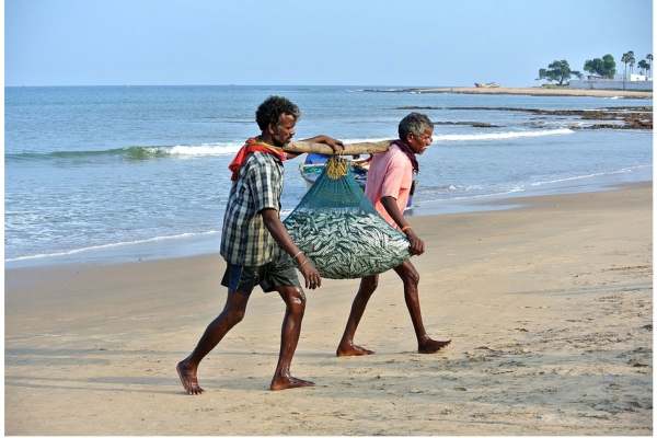 மீன்வள இழப்பைத் தடுக்க அரசாங்கம் நடவடிக்கை | Action To Prevent Loss Of Fisheries