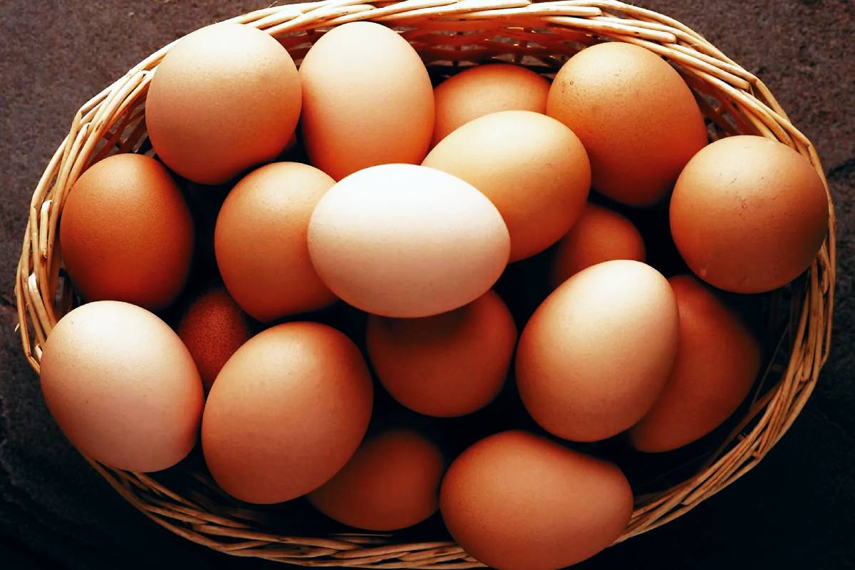 நாட்டில் உச்சம் தொட்ட முட்டை விலை...! வெளியான காரணம் | Egg Producers Blame Govt For Price Hike நாட்டில் உச்சம் தொட்ட முட்டை விலை...! வெளியான காரணம் | Egg Producers Blame Govt For Price Hike