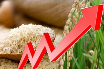 கீரி சம்பா அரிசியின் விலையில் ஏற்பட்ட திடீர் அதிகரிப்பு