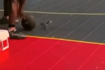 கூடைபந்து விளையாடி பிளேயரையே அசர வைத்த அணில் குட்டி! மில்லியன் பேரை மிரள வைத்த காட்சி