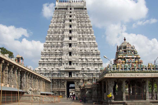 திருவண்ணாமலை அண்ணாமலையார் கோயிலில் நந்திக்கு சிறப்பு அபிஷேகம் | Special Abhishekam At Thiruvannamalai Nandhi