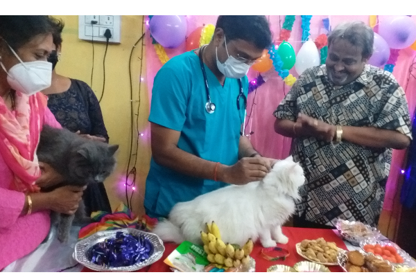 கர்ப்பிணியாக இருக்கும் பூனைக்கு வளைகாப்பு! கொண்டாட்டத்தில் குடும்பத்தினர் | A Pet Parent In Coimbatore Performed A Baby Shower