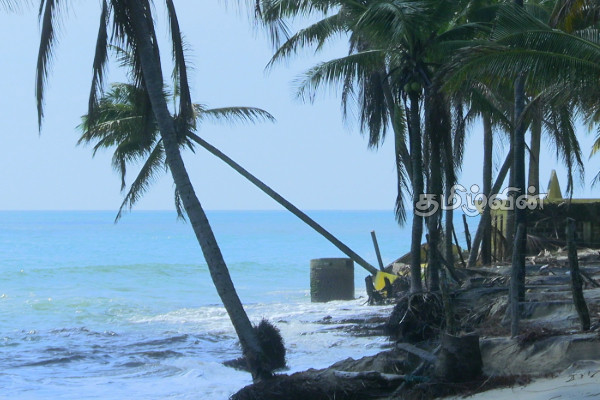 அம்பாறை மாவட்டத்தின் முக்கிய தமிழ் கிராமம் கடலில் மூழ்கும் அபாயம்! விடுக்கப்பட்டுள்ள அவசர கோரிக்கை | Attapallam Area At Risk Of Sinking Into The Sea