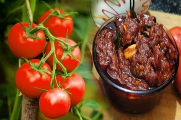 Tomato pachadi :கிராமத்து பாணியில் அசத்தல் தக்காளி பச்சடி... எப்படி செய்வது?