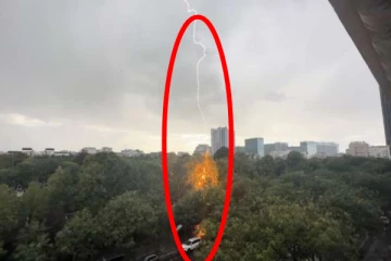 மயானத்தில் மின்னல் தாக்கி தீப்பிடித்து எரிந்த மரம்; இணையத்தில் வைரல்!