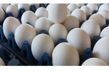 ஒரு முட்டை 72 ரூபாய்.. வரலாறு காணாத அளவில் உயர்ந்த முட்டை விலை - எங்கு தெரியுமா?