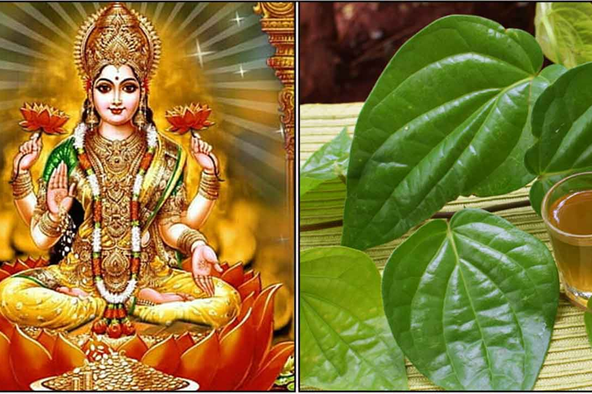 ஜாதகத்தில் உள்ள தோஷங்கள் விலக சக்தி வாய்ந்த 5 வெற்றிலை பரிகாரம் | 5 Betel Leaf Remedies For Financial Struggles ஜாதகத்தில் உள்ள தோஷங்கள் விலக சக்தி வாய்ந்த 5 வெற்றிலை பரிகாரம் | 5 Betel Leaf Remedies For Financial Struggles