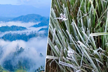 நுவரெலியாவில் அதிகாலையில் துகள் பனிப்பொழிவு