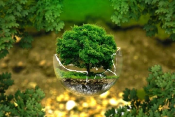 මෙම කොරෝනා වසංගතය ලෝක පරිසරයට ඇති කර ඇති බලපෑම ඔබ දන්නවාද..?