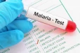 மலேரியா நோயுடன் கிளிநொச்சி வைத்தியசாலையில் ஒருவர் அனுமதி