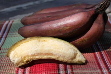 தீர்க்க முடியாத பல நோய்களுக்கு மருந்தாகும் செவ்வாழை! திடுக்கிடும் சில மருத்துவ குறிப்புகள்