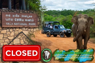 யால தேசிய வனத்தின் 2 வலயங்களுக்கு இன்று முதல் பூட்டு!