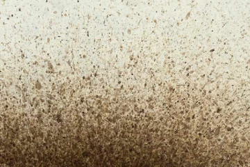 புயலால் சுவிஸ் கிராமமம் ஒன்றிற்கு ஏற்பட்டுள்ள நிலை... மக்கள் செய்யும் நெகிழவைக்கும் செயல்கள்