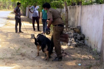 யாழில் துப்பாக்கி முனையில் மிரட்டி இளம் பெண்ணின் கழுத்தை அறுத்து கொள்ளை