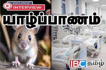 யாழில் உயிரைப் பறிக்கும் திடீர் காய்ச்சல் : வைத்தியர் வழங்கும் செவ்வி