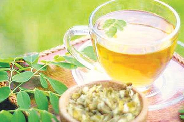 Moringa Tea: முருங்கை தேனீருக்கு இவ்ளோ பவரா? இனியும் தவிர்க்காதீங்க | Amazing Health Benefits Of Murungai Tea