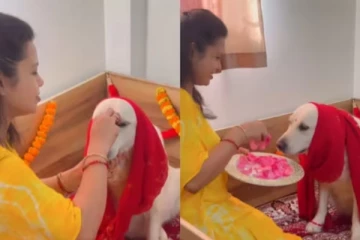 நாய்க்கு வளைகாப்பு; வளையல் மாட்டும் பெண் - கவனம் ஈர்த்த வீடியோ வைரல்!