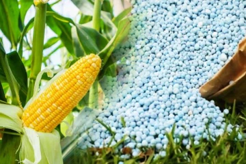 விவசாயிகளுக்கு மகிழ்ச்சி தகவல்: சர்வதேச நிதியத்தின் உதவியில் இலவச உரம்