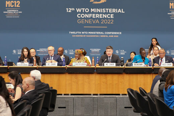சர்வதேச உடன்படிக்கைகளுக்கு உடன்பட மறுத்துள்ள இலங்கை! | Wto Fails To Secure Sri Lankas Support