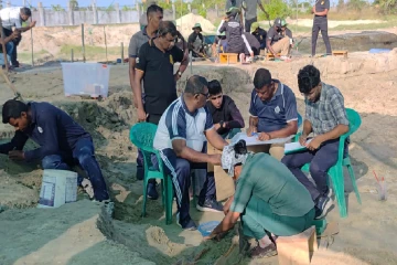 චෙම්මනි සුසාන භූමියේ කැණීම් අඛණ්ඩවම - මිනිස් සිරුරු 270 ක් හමුවෙයි
