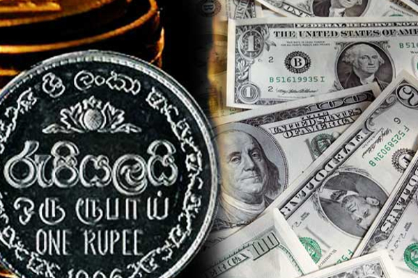 இலங்கை மத்திய வங்கி வெளியிட்ட இன்றைய டொலர் பெறுமதி | Today S Dollar Value Srilanka