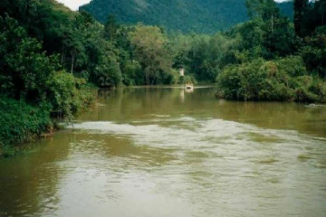 களனி கங்கையில் தவறி விழுந்து ஒருவர் மாயம்
