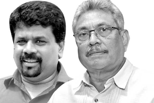 ஜனாதிபதி அநுர வெளியிட்டுள்ள வர்த்தமானி: இரத்து செய்யப்பட்ட உரிமை | Anura Takes Action Against Avant Garde Company