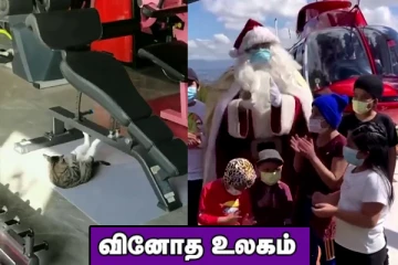 workout செய்யும் பூனை..ஹெலிகாப்டரில் பறந்து வந்த கிறிஸ்துமஸ் தாத்தா! வினோத உலகம்