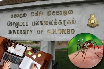 டெங்கு பரவல் தீவிரம் : கொழும்பு பல்கலை கல்வி நடவடிக்கைகள் இணையவழியில்