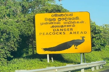 தென் மாகாண அறிவிப்பு பலகையில் பிழை காணும் அமெரிக்க தூதுவர்!