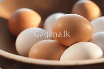 මෙරට බිත්තර මිලෙහි හිටිහැටියේම සිදු වූ වෙනස.